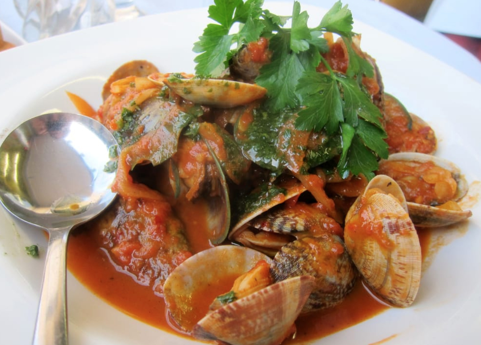 Mussels and Clams