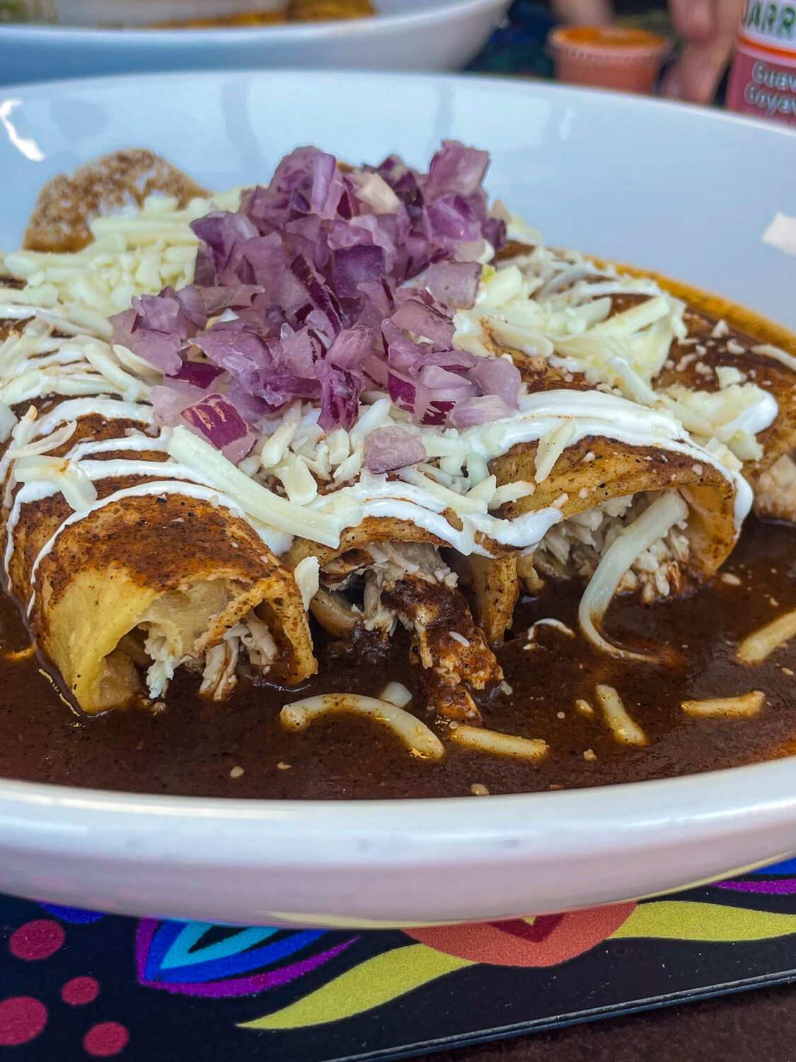 Chicken empanada rojo